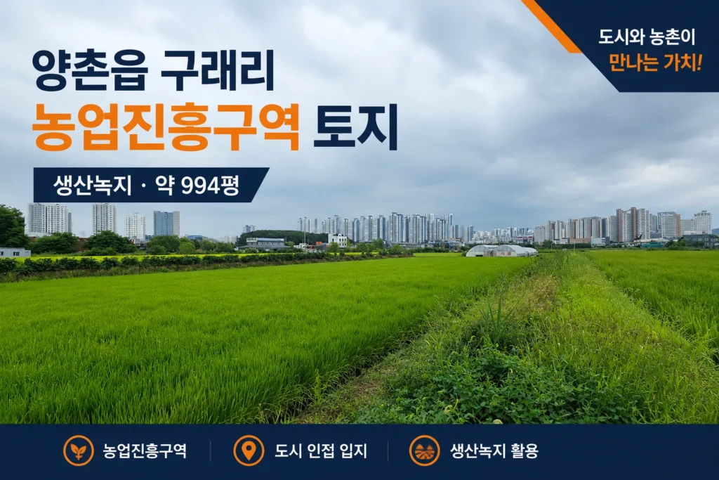 김포 양촌읍 구래리 농업진흥구역 토지 매매｜생산녹지 약 994평